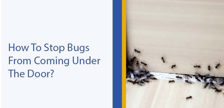 How To Stop Bugs From Coming Under The Door