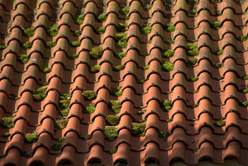 roof tile