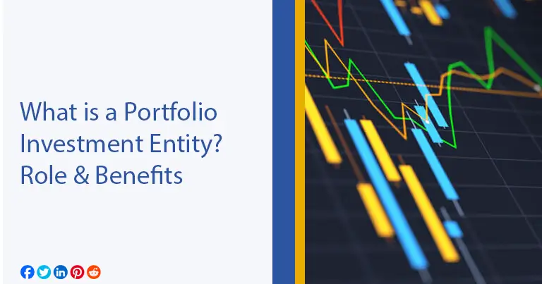 What is a Portfolio Investment Entity